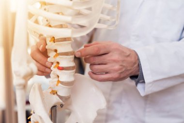 Yakın çekim. Doktor iskelet üzerinde omurga gösteriyor.