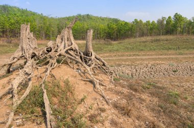 Küresel ısınma, kuraklık yaz aylarında öğütülür kuru rezervuarı Mae Moh, Lampang, Thailand.