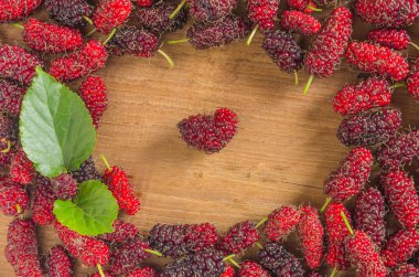 Sabahları doğal ışık bir fon ile taze dut.