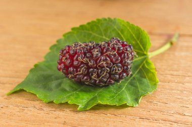 Sabahları doğal ışık bir fon ile taze dut.