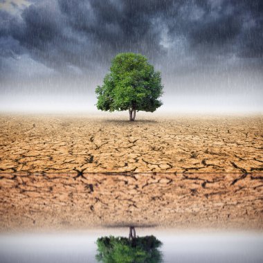 İklim kavramı manzara ağaçlar ve değişen çevre üzerindeki yansımaları değiştirmek.