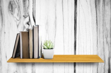 Kaktüs, kitap ve ahşap duvar arka plan - ürün görüntüleme için en iyi ahşap raflar.