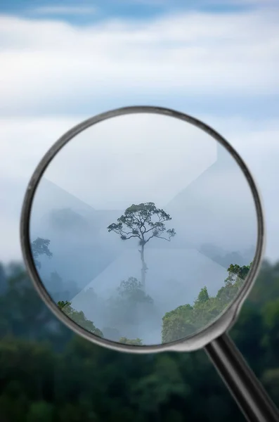 Konzept Findet Natürliches Natürliches Aussehen Durch Die Lupe — Stockfoto