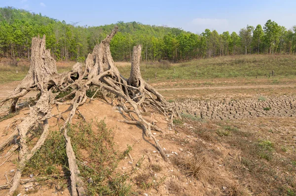 Riscaldamento Globale Siccità Estate Terreno Serbatoio Asciutto Mae Moh Lampang — Foto Stock