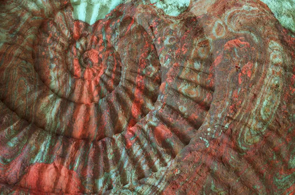Close Van Ammonieten Prehistorische Fossiele Het Oppervlak Van Steen — Stockfoto