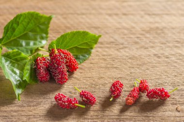 Sabahları doğal ışık bir fon ile taze dut