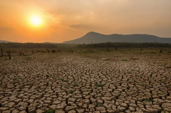 Globální Oteplování Sucha Létě Zem Suchá Nádrž Mae Moh Lampang — Stock fotografie