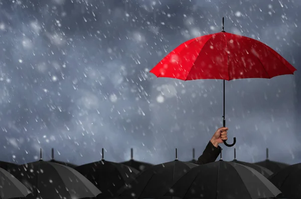 Deštník Hmotnosti Černé Deštníky — Stock fotografie