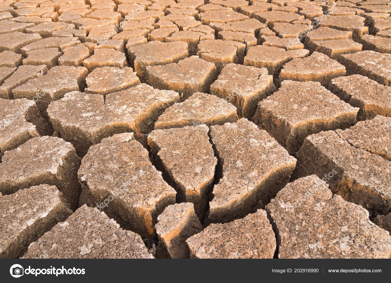 Aquecimento Global Seca Verao Solo Seco Reservatorio Mae Moh Lampang Stock Photo C Nirutdps 202916990