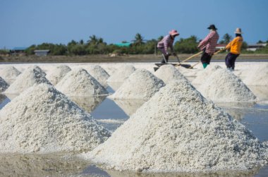 Tuz çiftlik tuz, deniz tuzu kitle. Tayland tuz alanında sıralama işçi.