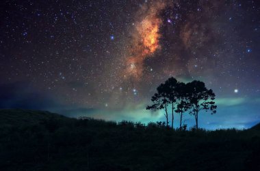 Samanyolu ağaç, Doi Samer Dao - Si Nan Milli Parkı, Na Noi, Nan yukarıda.