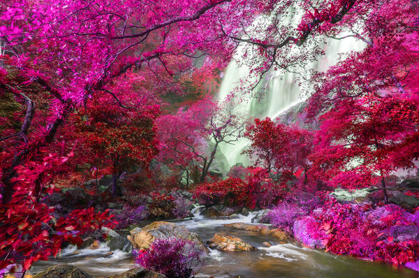 Amazing waterfall in colorful autumn forest
