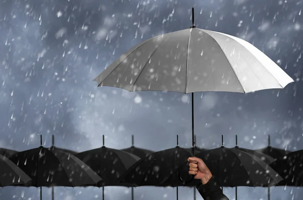 White Umbrella Mass Black Umbrellas — Stock Photo, Image