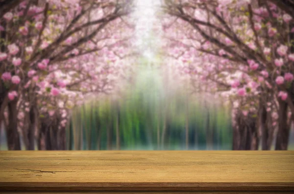 Mesa Madera Vacía Árbol Flores Rosa Borroso Fondo Del Árbol — Foto de Stock