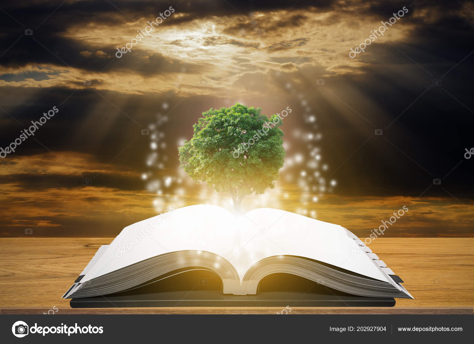 Knowledge Concept Education Knowledge Tree Growing Open Book Stock