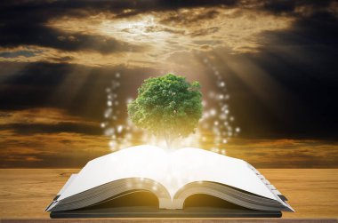 Knowledge concept of education and knowledge with tree growing from open book. clipart