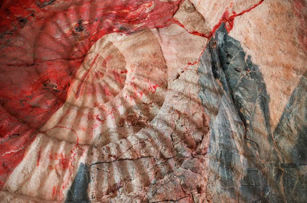 Primer Plano Del Fósil Prehistórico Amonita Superficie Piedra — Foto de Stock