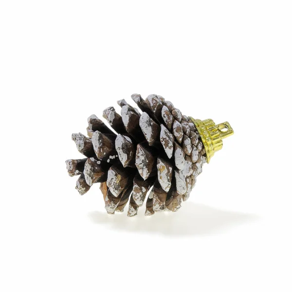 Christmas Pine Cone Isolated White Background — Stock Photo, Image
