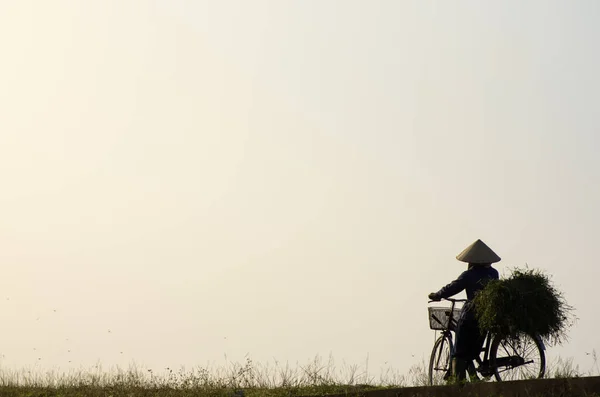 Vietnamesin Tracht Abends Mit Dem Fahrrad Auf Dem Hügel — Stockfoto