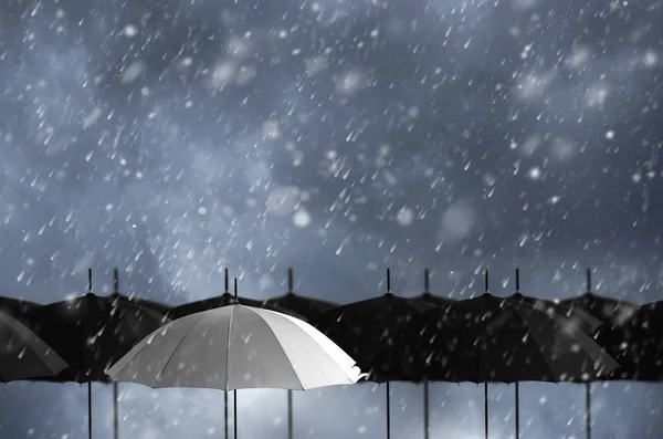 Weißer Regenschirm Der Masse Schwarzer Regenschirme — Stockfoto