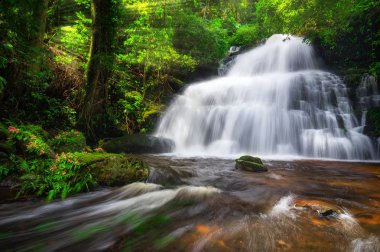 Adam Daeng şelale, şelale ile sonbahar renk değiştirmek güzel doğa.