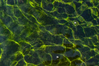 Desen su doku ve alan: ideal kullanım için arka plan aydınlatma odak sığ derinliği ile hareketi.