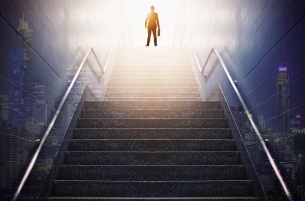 Visão Traseira Homem Negócios Subindo Escadas Conceito Sucesso — Fotografia de Stock