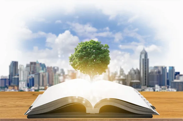 Knowledge concept of education and knowledge with tree growing from open book.