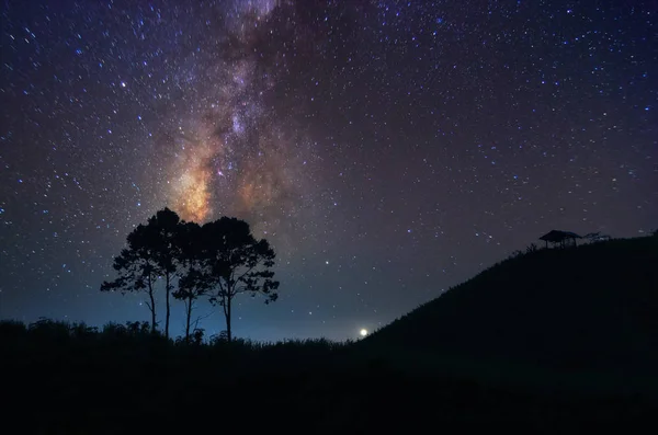 Milky Way Tree Doi Samer Dao Nan National Park Noi — Stock Photo, Image