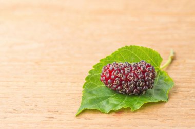 Sabahları doğal ışık bir fon ile taze dut.