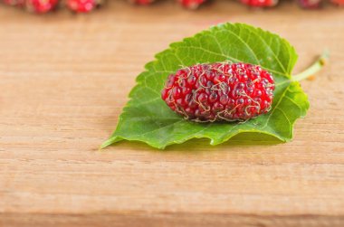 Sabahları doğal ışık bir fon ile taze dut.