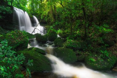 Adam Daeng şelale, şelale ile sonbahar renk değiştirmek güzel doğa.