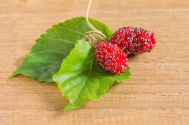 Sabahları doğal ışık bir fon ile taze dut.