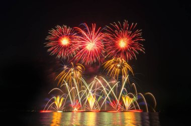 Kara gökyüzü arka planında renkli havai fişekler.