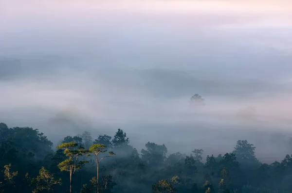 Paysage Brouillard Matinal Sur Ville Khun Yuam Sommet Doi District — Photo