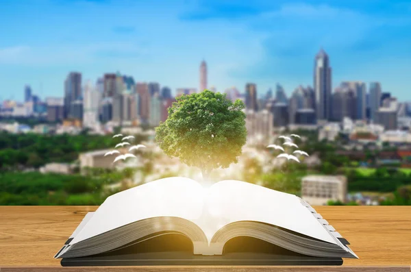 Concetto Conoscenza Istruzione Conoscenza Con Albero Che Cresce Libro Aperto — Foto Stock