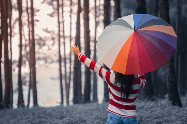 Woman Holding Colorful Umbrellas Rain Fall Park — Stock Photo, Image