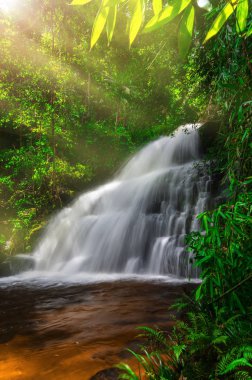 Adam Daeng şelale, şelale ile sonbahar renk değiştirmek güzel doğa.