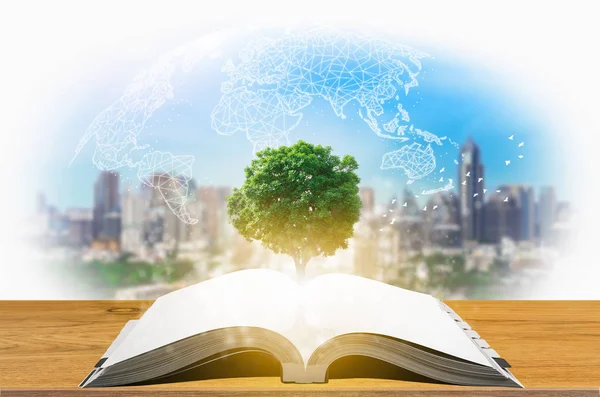 Knowledge concept of education and knowledge with tree growing from open book.