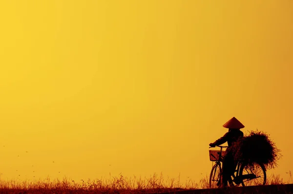 Mulher Vietnamita Silhueta Vestindo Traje Nacional Pedalando Colina Noite — Fotografia de Stock