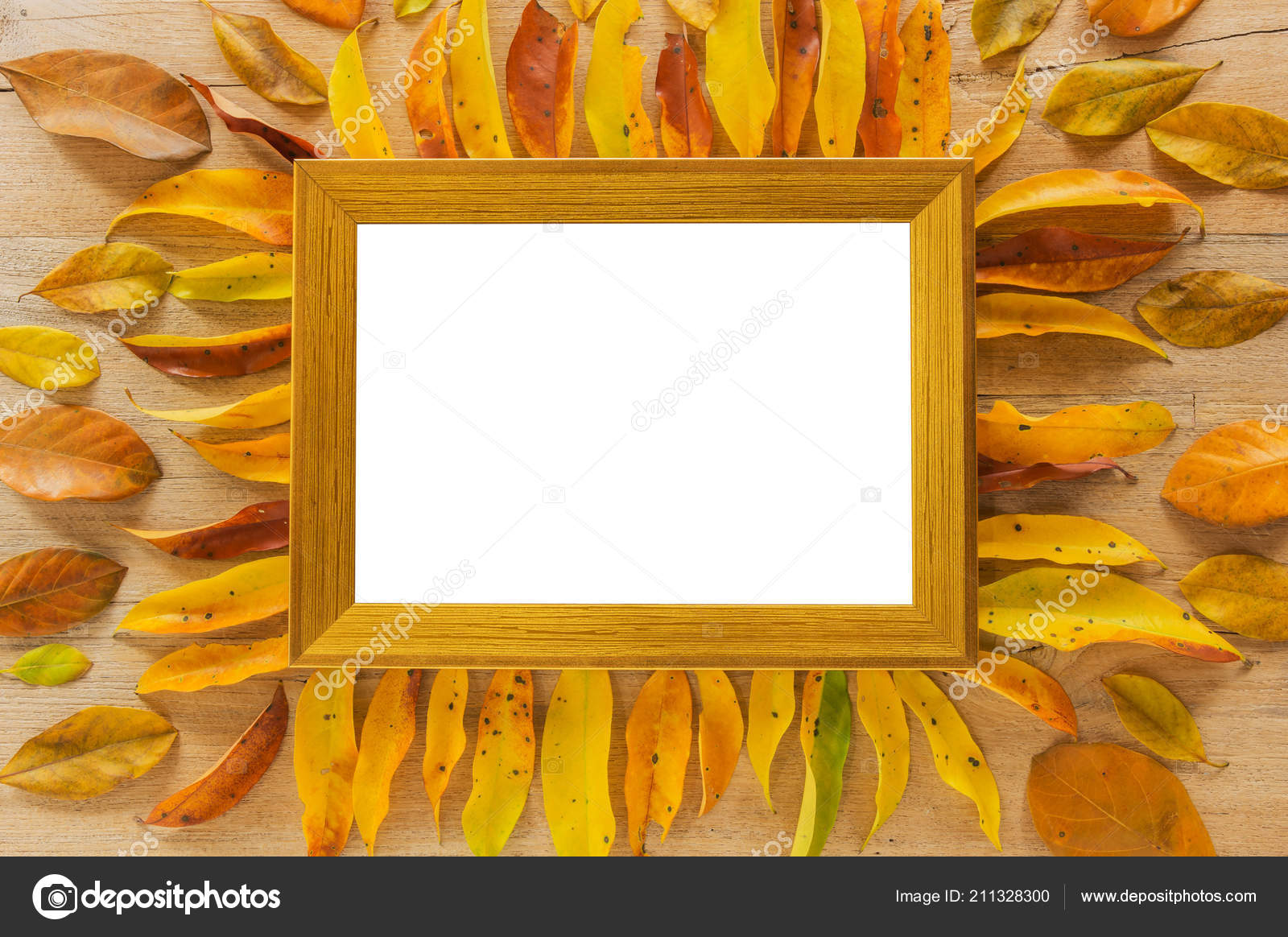 Blank Golden Wooden Photo Frame Wooden Board Autumn Leaves Clipping