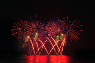 Kara gökyüzü arka planında renkli havai fişekler.