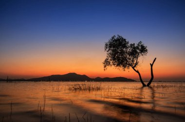 Reservoir günbatımı, bangphra chonburi, ağaç güzel siluet.