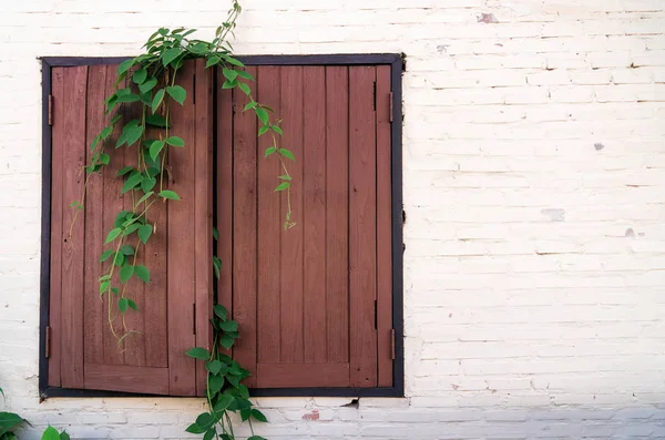 Oude Houten Venster Een Muur Van Een Oud Landhuis Met — Stockfoto