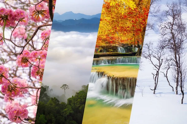 Beautiful nature collage - four seasons of year collage, different time of year - winter, spring, summer, autumn.