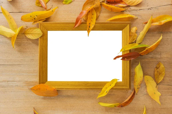 Puste Złotego Drewniane Ramki Płycie Jesiennych Liści Ścieżki Przycinającej — Zdjęcie stockowe