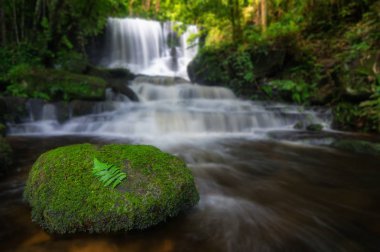 Adam Daeng şelale, şelale ile sonbahar renk değiştirmek güzel doğa.