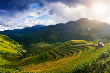 Pirinç tarlaları üzerinde Mu Cang Chai, Yenbai, Vietnam Teras. Kuzey Vietnam, hasat pirinç tarlaları hazırlamak.