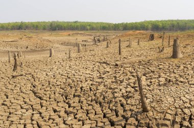 Küresel ısınma, kuraklık yaz aylarında öğütülür kuru rezervuarı Mae Moh, Lampang, Thailand.