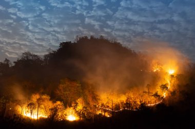 Orman Yangın, kırmızı ve turuncu renk ağacında geceleri dağda, Kuzey Tayland, ormandaki yumuşak odak yanan orman yangını.